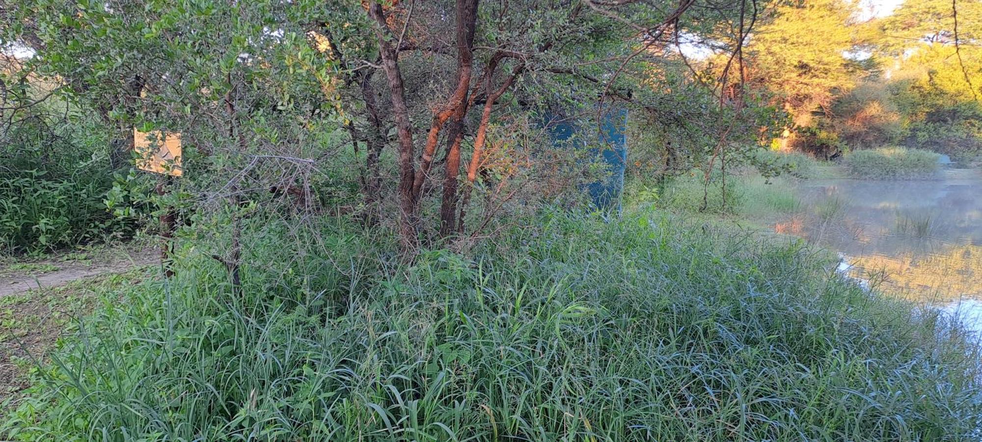 Woodlands Stop Over And Lodge Φράνσισταουν Εξωτερικό φωτογραφία